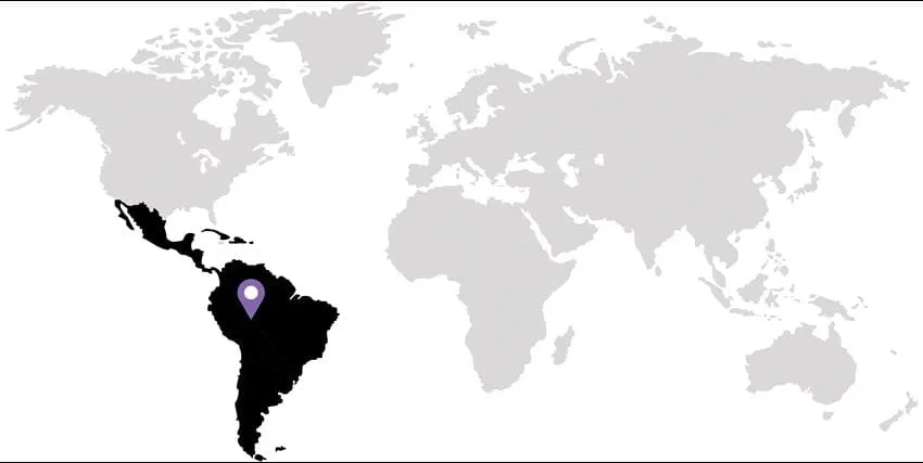 Map image for PMO Success in Latin America